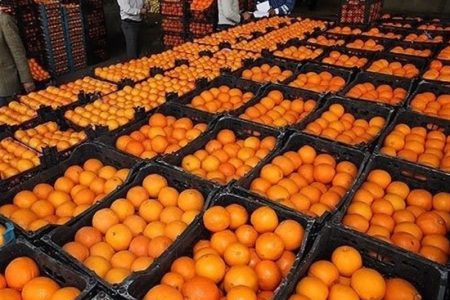 قیمت میوه شب عید در زنجان اعلام شد